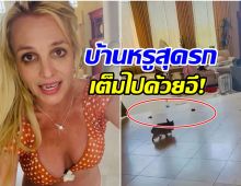 บริทนีย์ สเปียร์ส ตอบกลับคำวิจารณ์ ทำไมบ้านหรูมีเเต่อึน้องหมา
