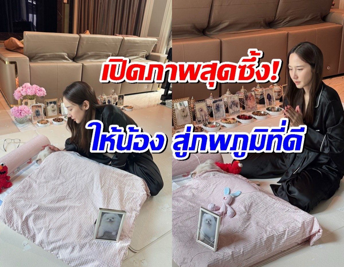 หัวใจสลาย! อั้ม พัชราภา ทำบุญให้น้องสตางค์ สุนัขสุดที่รัก