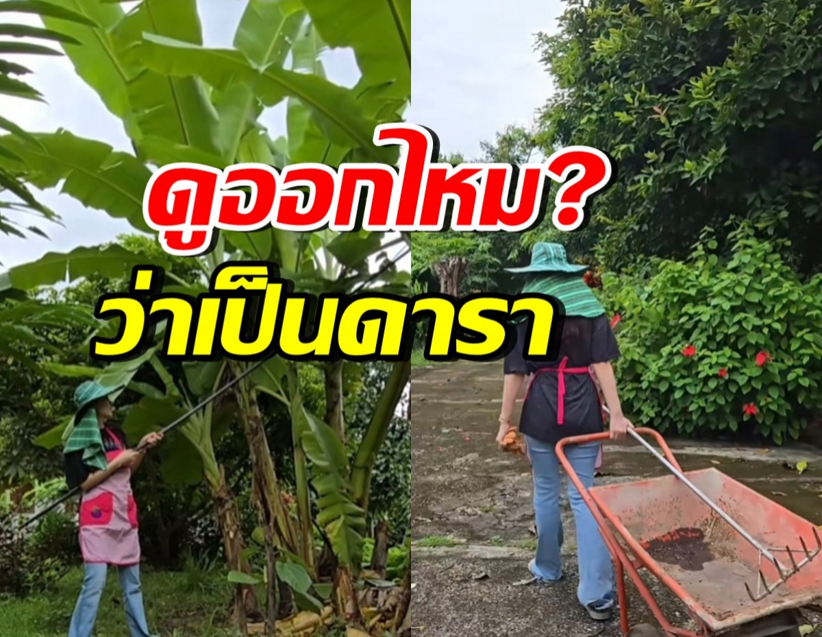 ดาราสาวดัง กลับบ้านที่ตจว. แปลงโฉมเป็นชาวสวนเก็บกล้วย