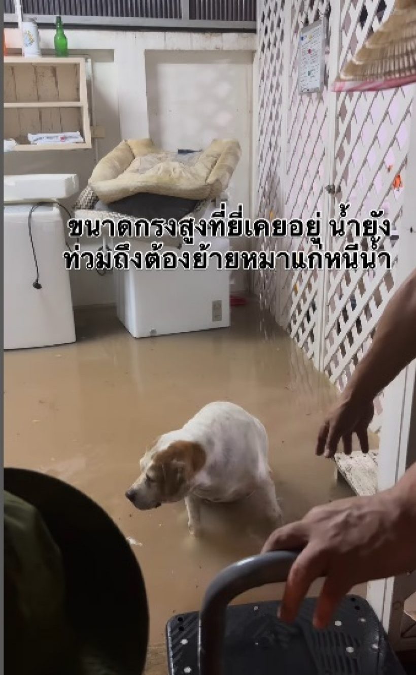 ท็อป ดารณีนุช เปิดความเสียหาย บ้านน้ำท่วม พร้อมฝากคำถามถึง กทม.