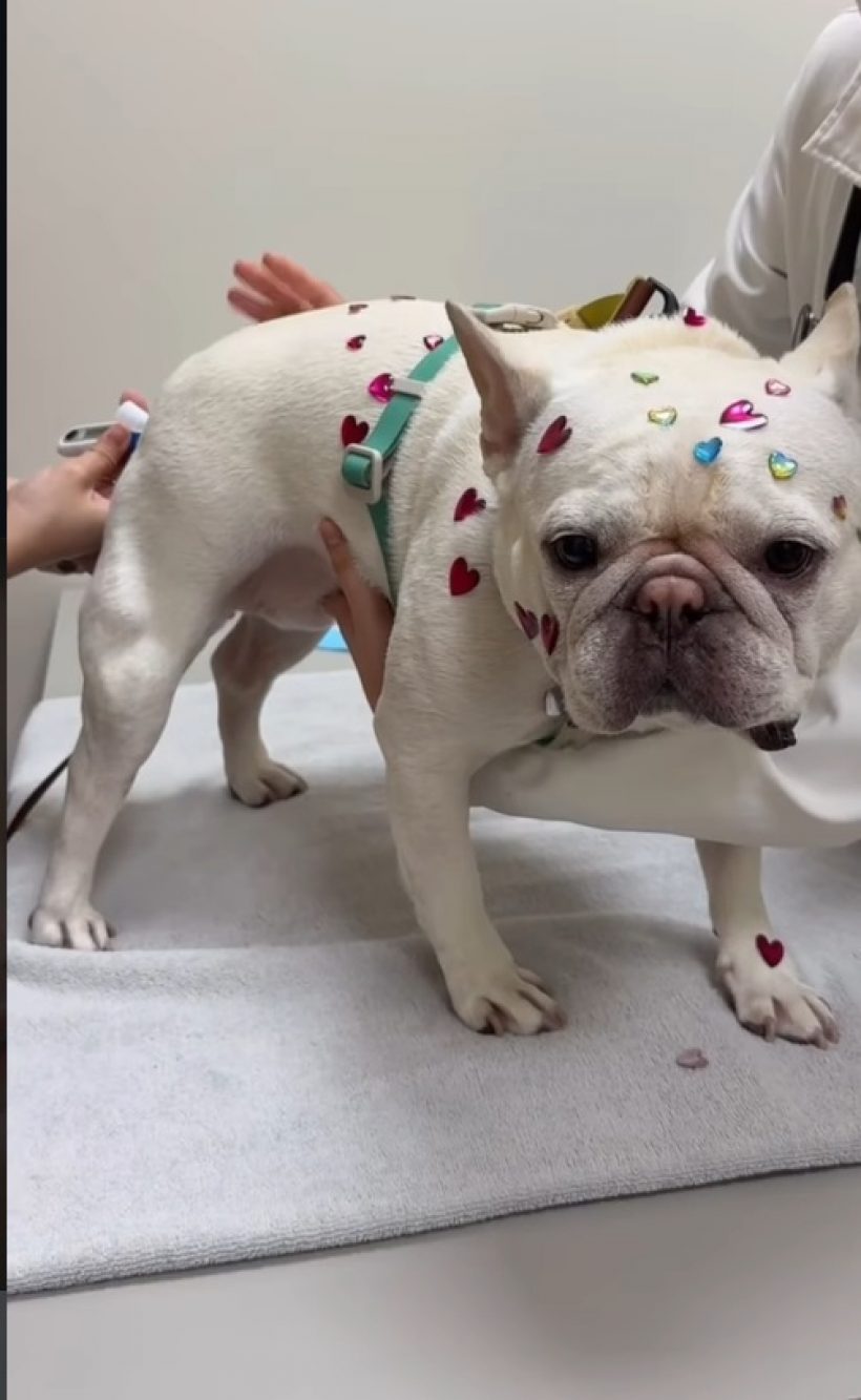 โยเกิร์ต ณัฐฐชาช์ เปิดตัว วาเลนไทน์นี้ไม่เหงาแล้วนะ