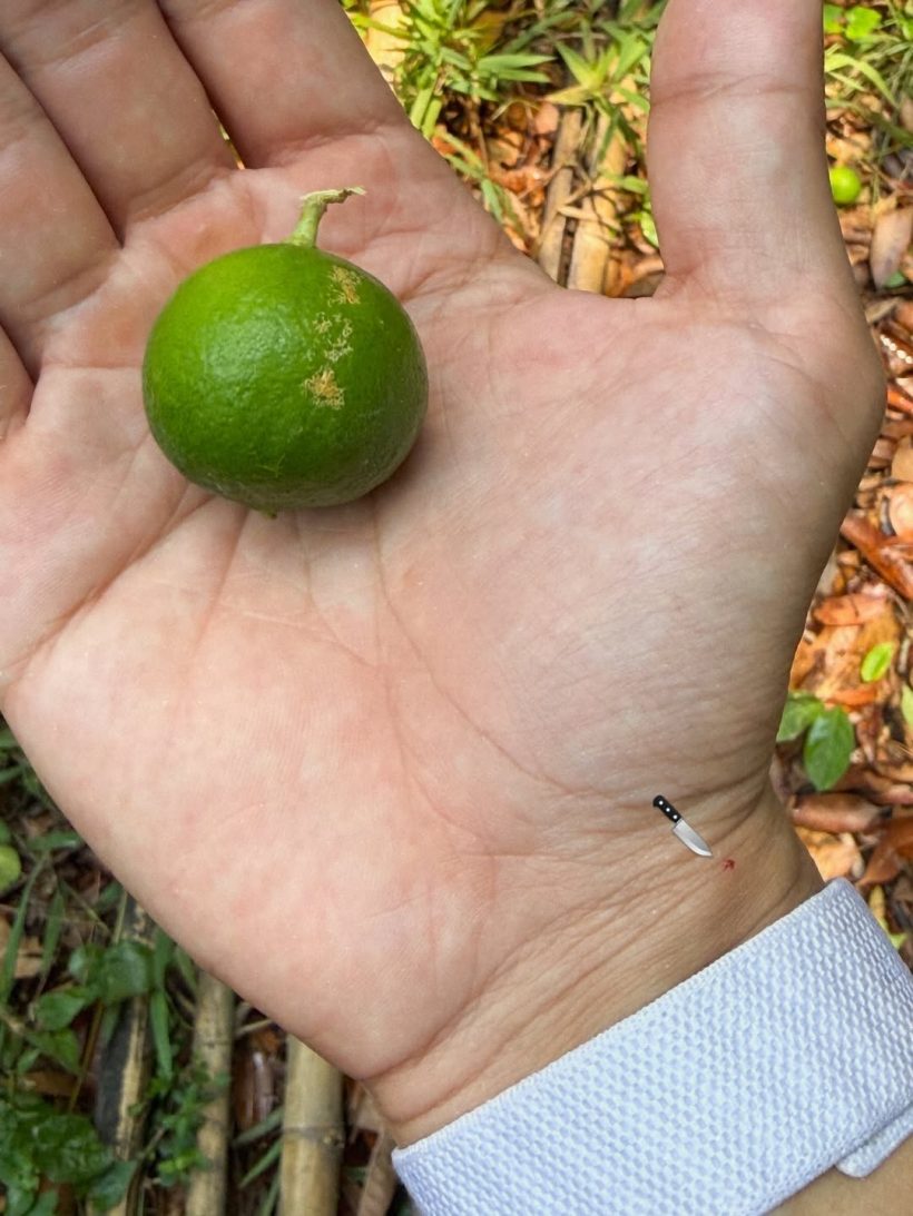 รวยไม่ไหวเเล้ว! ส่องอีกหนึ่งธุรกิจ ตรี ภรภัทร เพื่อนดารายังเรียกเสี่ย