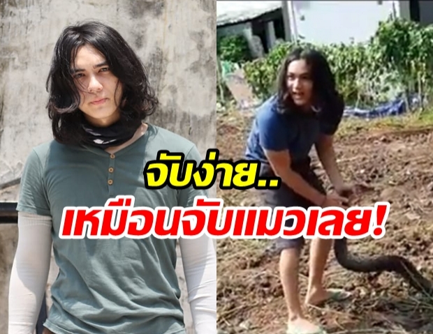  สกิลขั้นเทพ “แน็ก ชาลี” จับงูด้วยมือเปล่า ไม่ต้องพึ่งกู้ภัย!