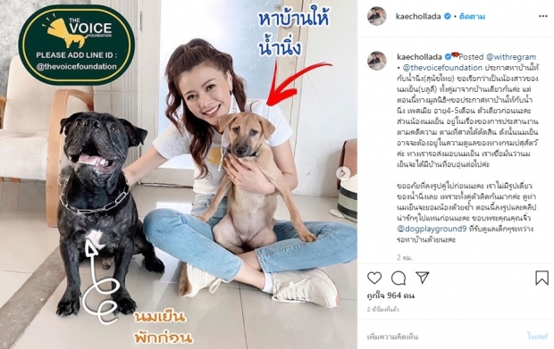 เก๋ ชลลดา อัปเดตชีวิต ‘นมเย็น’ พร้อมประกาศหาบ้านให้ ‘น้องน้ำนิ่ง’ 