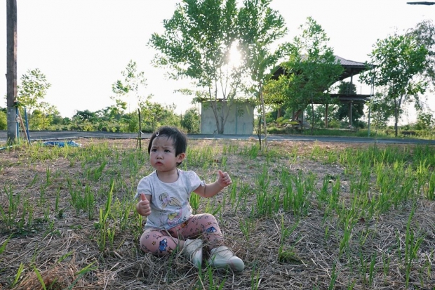 แพนเค้ก พาชมไร่เรื่องราวดีดี บรรยากาศดีมาก ใกล้ชิดธรรมชาติสุดๆ