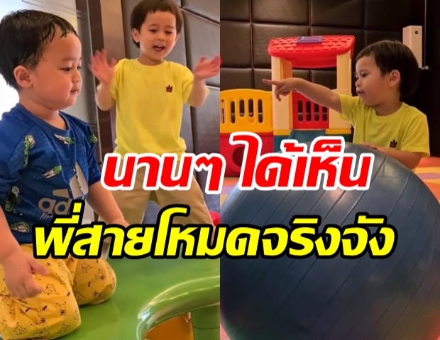 ไปดูความน่ารักของ สายฟ้า-พายุ เห็นแล้วทั้งขำ ทั้งเอ็นดู (คลิป)