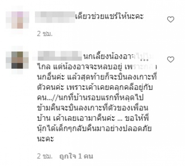 แฟนๆแห่ช่วยตามหา นุ๊ก สุทธิดา ถึงกับลั่นแม่ขอโทษ แม่ไม่ดีเอง