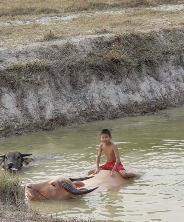 น้ำ รพีภัทร ค้นพบความสุข ผันตัวทำเกษตรใช้เงินวันละ 300 