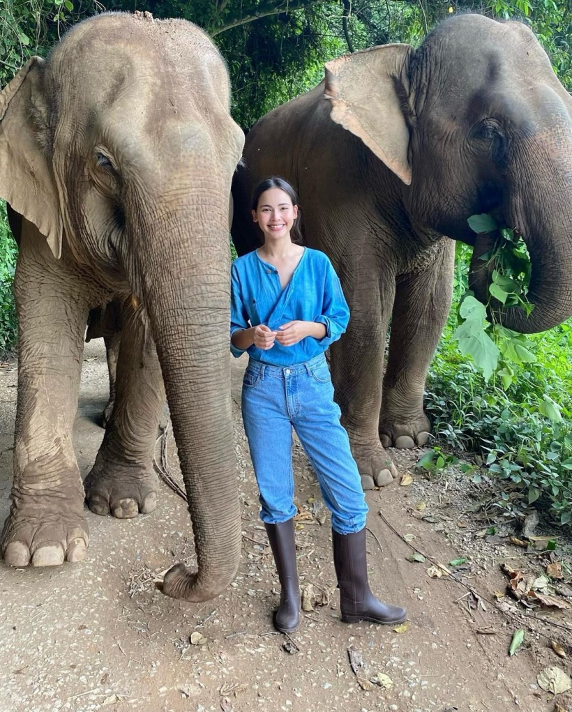 วงการผลไม้สะเทือน ญาญ่า อุรัสยา ตามหาสิ่งนี้เตรียมขึ้นราคาโลด