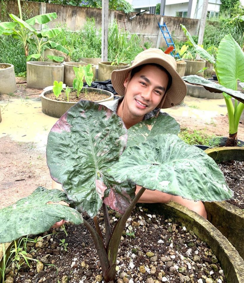 ส่องชีวิตนอกจอพระเอกช่อง3 ติดดินเรียบง่ายเข้าป่าเก็บเห็ดกิน