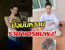 จัดให้ตามคำขอ ญาญ่า นั่งเฝ้าเตาถ่านปิ้งมันหวาน โดนแซวราคาพุ่งแน่