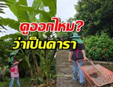 ดาราสาวดัง กลับบ้านที่ตจว. แปลงโฉมเป็นชาวสวนเก็บกล้วย