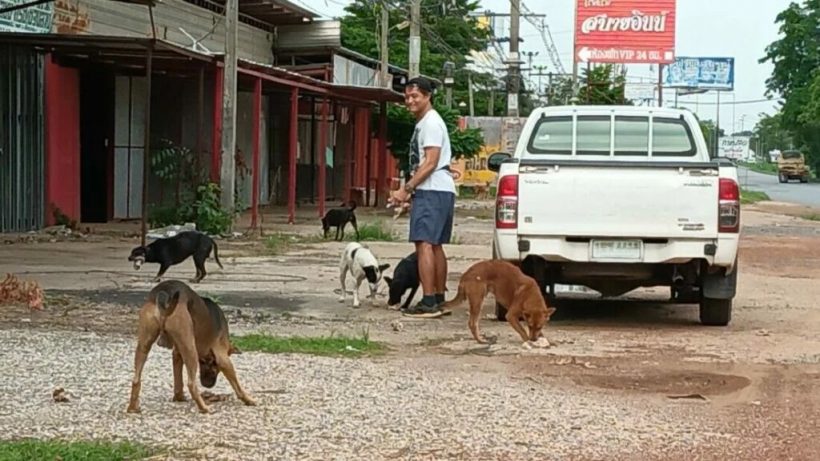 ทำดี15ปีไม่มีใครรู้! เปิดภาพอดีตพระเอกสู่เทวดาหมาจร