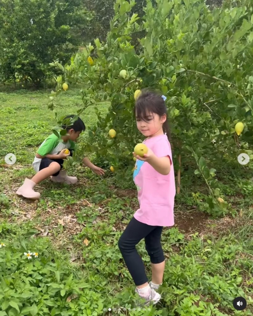 กิจกรรมเยอะมาก! เด็กๆบ้าน3D เข้าสวนเก็บผลไม้ บรรยากาศดีมาก