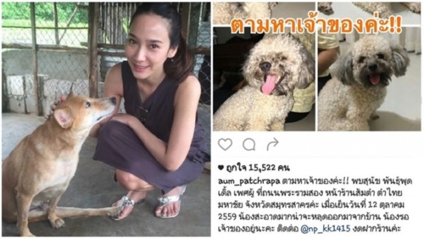 “อั้ม”สานภารกิจสาวใจบุญ ประกาศหาเจ้าของน้องหมาพลัดหลง