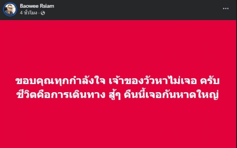 บ่าววีเล่าอุบัติเหตุ วัววิ่งชนรถตู้ เผยสาเหตุ ไม่ตามหาเจ้าของ!!