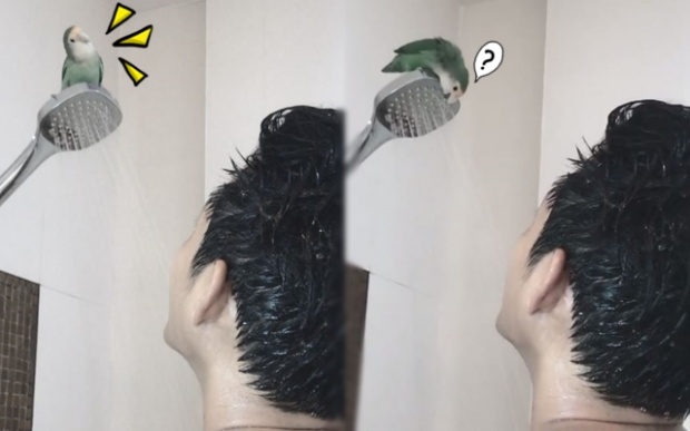 เมื่อ ตู่ ภพธร โชว์อาบน้ำกับนก แต่คนไม่ได้โฟกัสที่นกเลยสักนิด!! (มีคลิป)