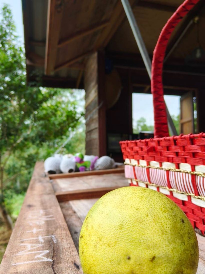 ชีวิตดี๊ดี! เวียร์พาดูบ้านสวน หนีเมืองกรุงมุ่งสู่ธรรมชาติ