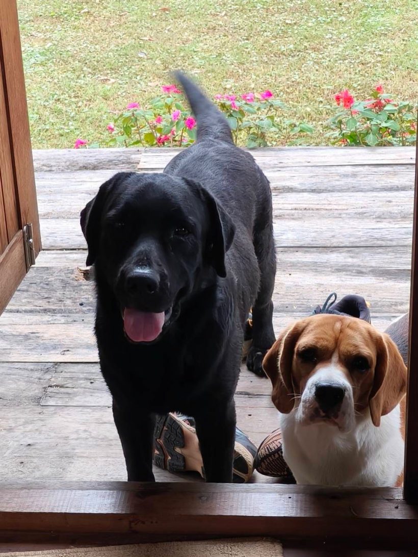 ชีวิตดี๊ดี! เวียร์พาดูบ้านสวน หนีเมืองกรุงมุ่งสู่ธรรมชาติ