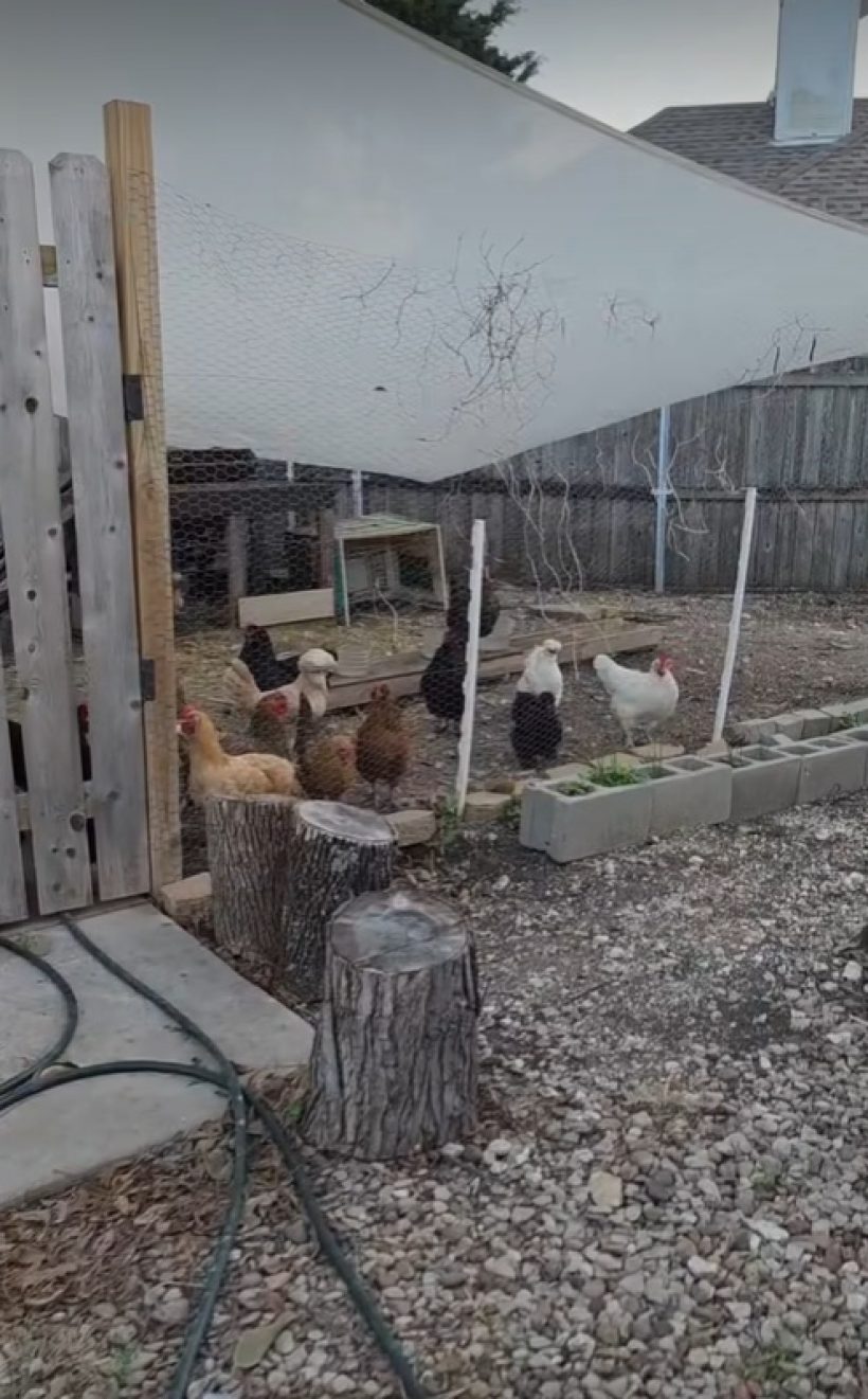 ยายหนิง เปิดบ้านครอบครัวที่เท็กซัส บอกเลยรวยไม่ธรรมดา!