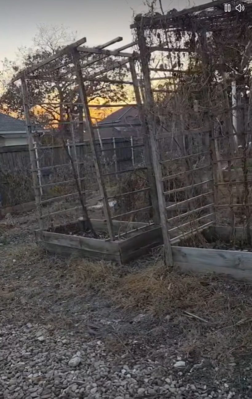 ยายหนิง เปิดบ้านครอบครัวที่เท็กซัส บอกเลยรวยไม่ธรรมดา!