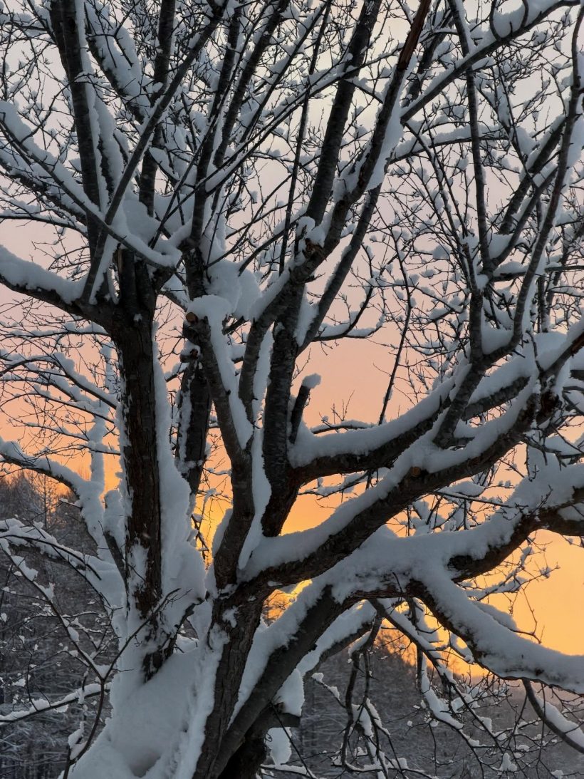 เต้ยอวดโฉมบ้านใหม่ที่ญี่ปุ่น ใกล้บ้านเคนหน่อยแค่เอื้อม