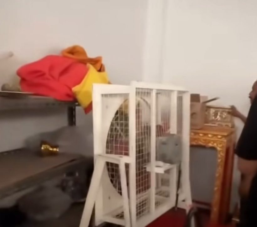 วงการตลกเดือด! เปิดนาทีเจออัฐิ เหน่ง เหม่งจ๋าย อยู่ห้องเก็บของ