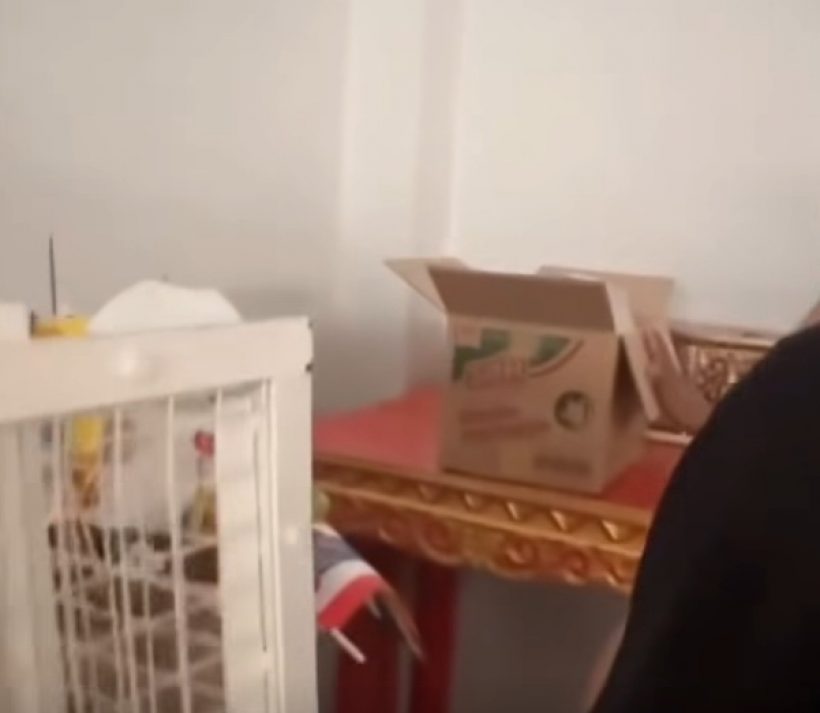 วงการตลกเดือด! เปิดนาทีเจออัฐิ เหน่ง เหม่งจ๋าย อยู่ห้องเก็บของ