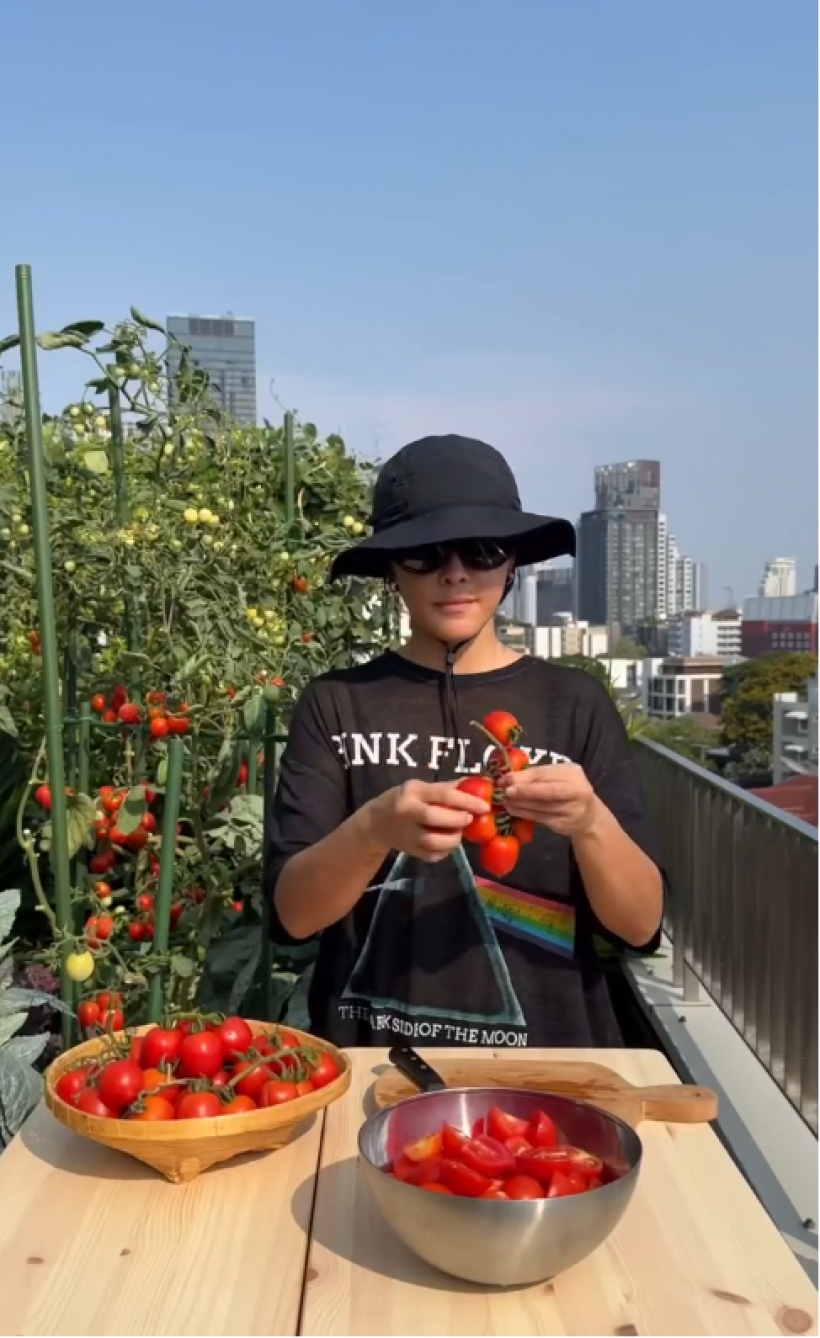 ปลูกเอง กินเอง! แพรี่พาย อวดมะเขือเทศแดงสด ปลูกบนดาดฟ้า