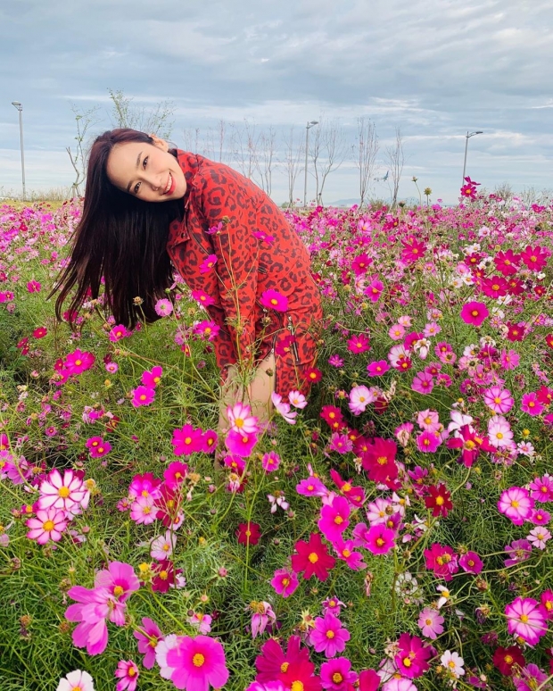 สมใจซะที! อั้ม พัชราภา บินลัดฟ้าเที่ยวเกาหลี สวยสดใสกลางดงดอกไม้
