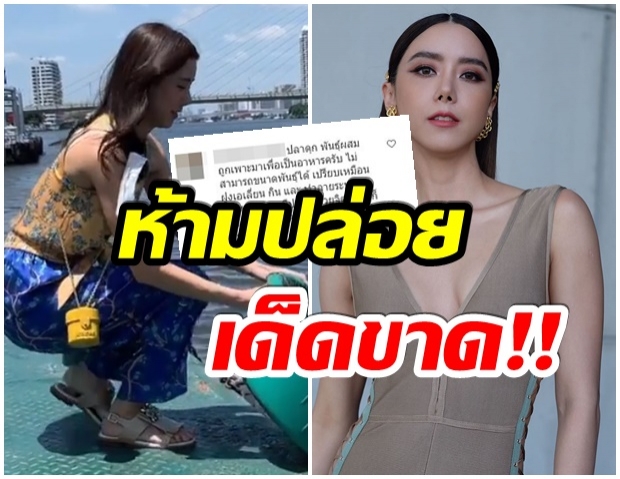 ชาวเน็ตติง! ไอซ์ ทำบุญอาจได้บาป เพราะปล่อยปลาชนิดนี้ลงเเม่น้ำ 