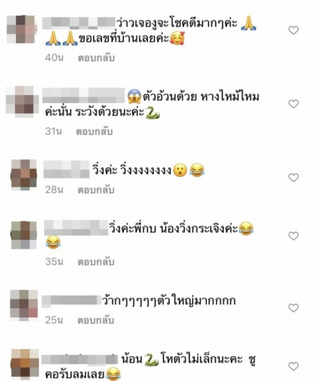 กบ ปภัสรา ถึงกับสะพรึงหลัง เห็นสัตว์ตัวนี้อยู่บนยอดตำลึง ชาวเน็ตแนะตีเลขเด็ด