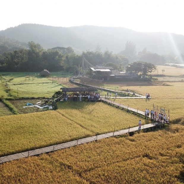 ชีวิตติดนา! เป๊ก-นิว อวดผลผลิตนาข้าว ที่ปลูก-เก็บเกี่ยวเองกับมือ