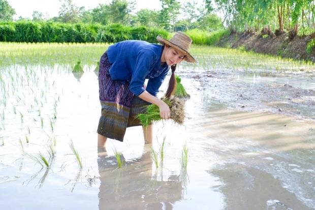 ลูกทุ่งสาวคนดัง ตกงานช่วงโควิด กลับบ้านเกิดใช้ชีวิตสไตล์สาวไทบ้าน