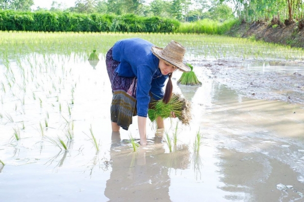 ลูกทุ่งสาวคนดัง ตกงานช่วงโควิด กลับบ้านเกิดใช้ชีวิตสไตล์สาวไทบ้าน