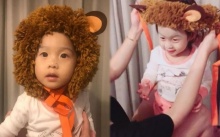 เมื่อ “เป่าเปา” ชอบดู Lion king จึงอ้อนป้าแบบนี้!!? (มีคลิป)