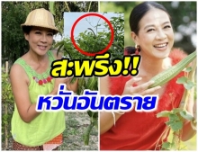 กบ ปภัสรา ถึงกับสะพรึงหลัง เห็นสัตว์ตัวนี้อยู่บนยอดตำลึง ชาวเน็ตแนะตีเลขเด็ด