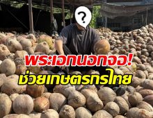 ดาราหนุ่มดัง ช่วยชาวสวน ซื้อมะพร้าวเดือนละ 1 แสนลูก