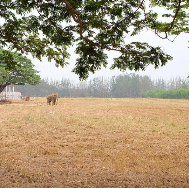 ส่องบ้าน!! “สู่ขวัญ” คุณผู้หญิงของโชคชัยฟาร์ม ราวกับอยู่บนสวรรค์!