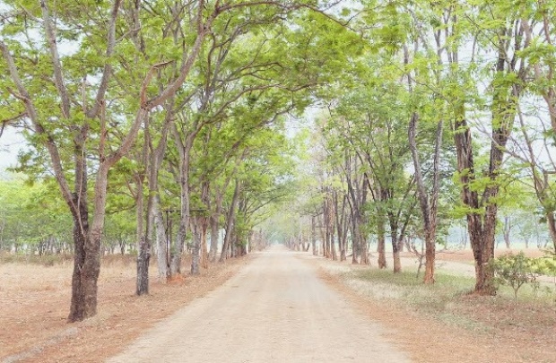 ส่องบ้าน!! “สู่ขวัญ” คุณผู้หญิงของโชคชัยฟาร์ม ราวกับอยู่บนสวรรค์!