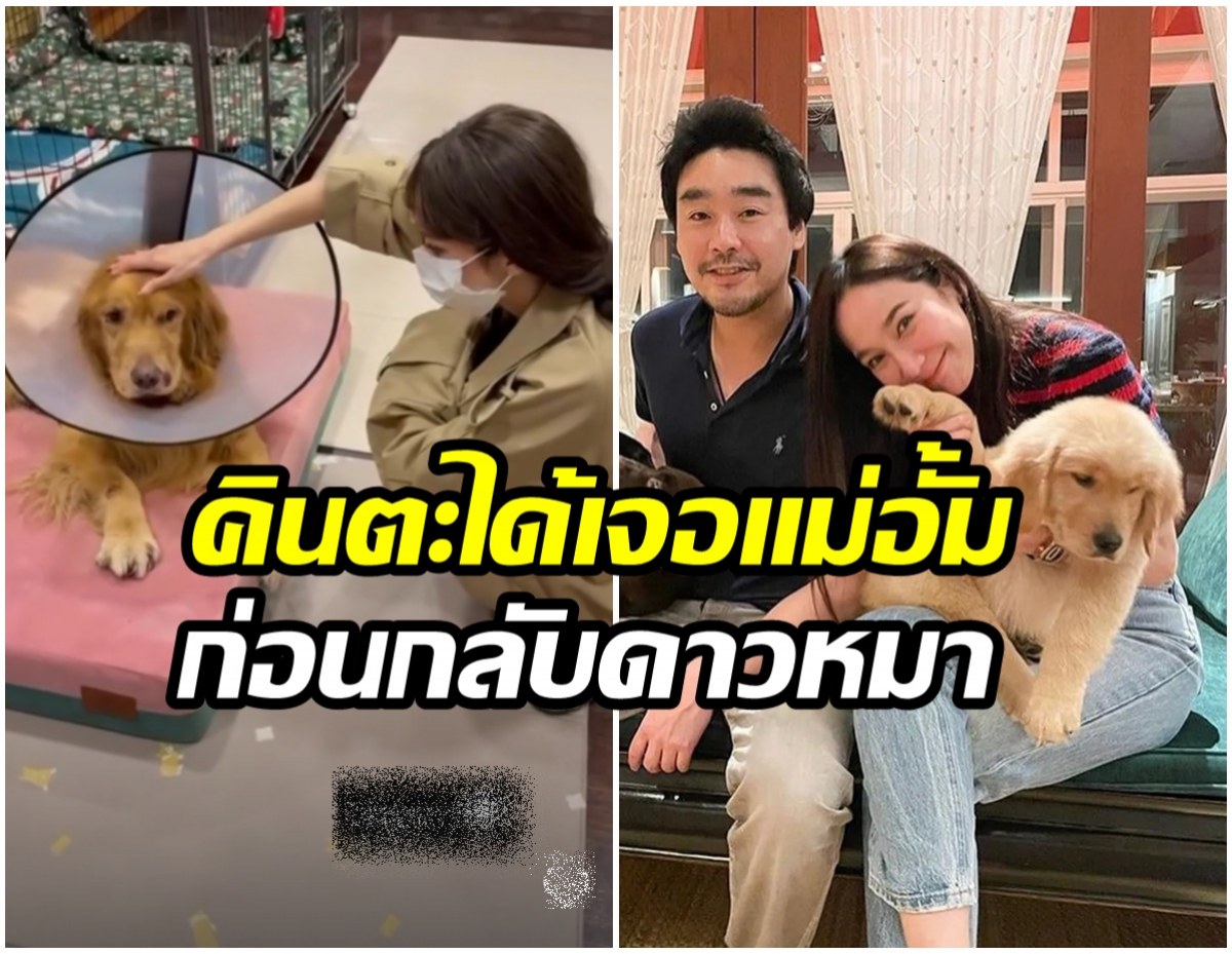 เศร้า! น้องคินตะ สุนัขเเสนรักไฮโซพก ไปวิ่งเล่นบนฟ้าแล้ว