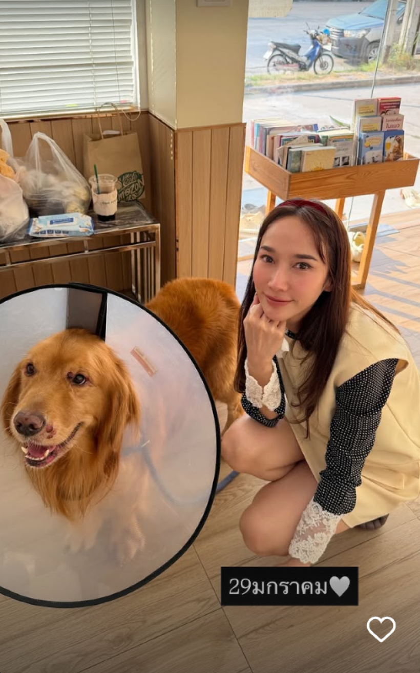 เศร้า! น้องคินตะ สุนัขเเสนรักไฮโซพก ไปวิ่งเล่นบนฟ้าแล้ว