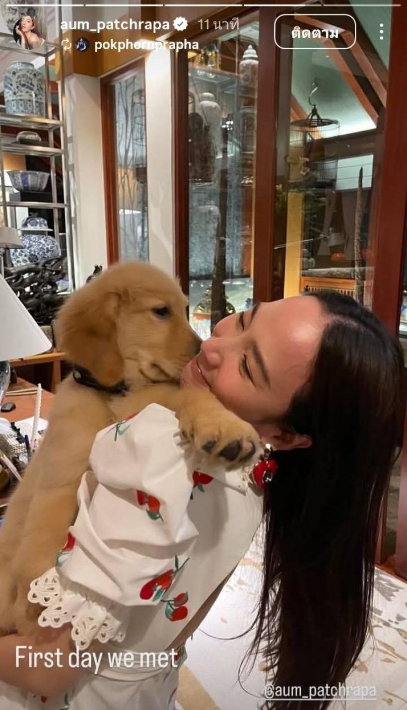 เศร้า! น้องคินตะ สุนัขเเสนรักไฮโซพก ไปวิ่งเล่นบนฟ้าแล้ว