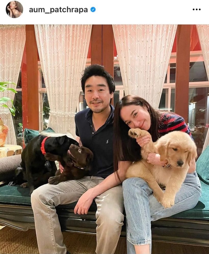 เศร้า! น้องคินตะ สุนัขเเสนรักไฮโซพก ไปวิ่งเล่นบนฟ้าแล้ว