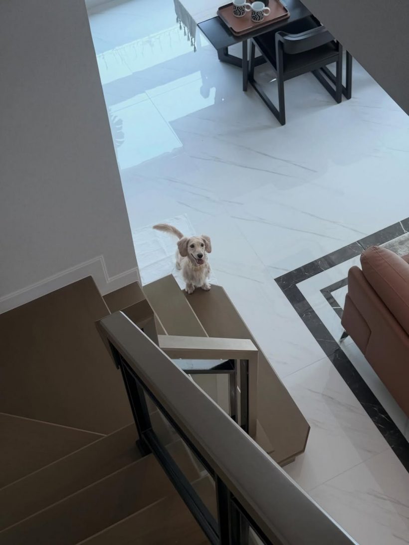 คู่รักคู่นี้ ซื้อบ้านแล้ว ไม่ซีเรียสถ้าคนมองอยู่ก่อนแต่ง