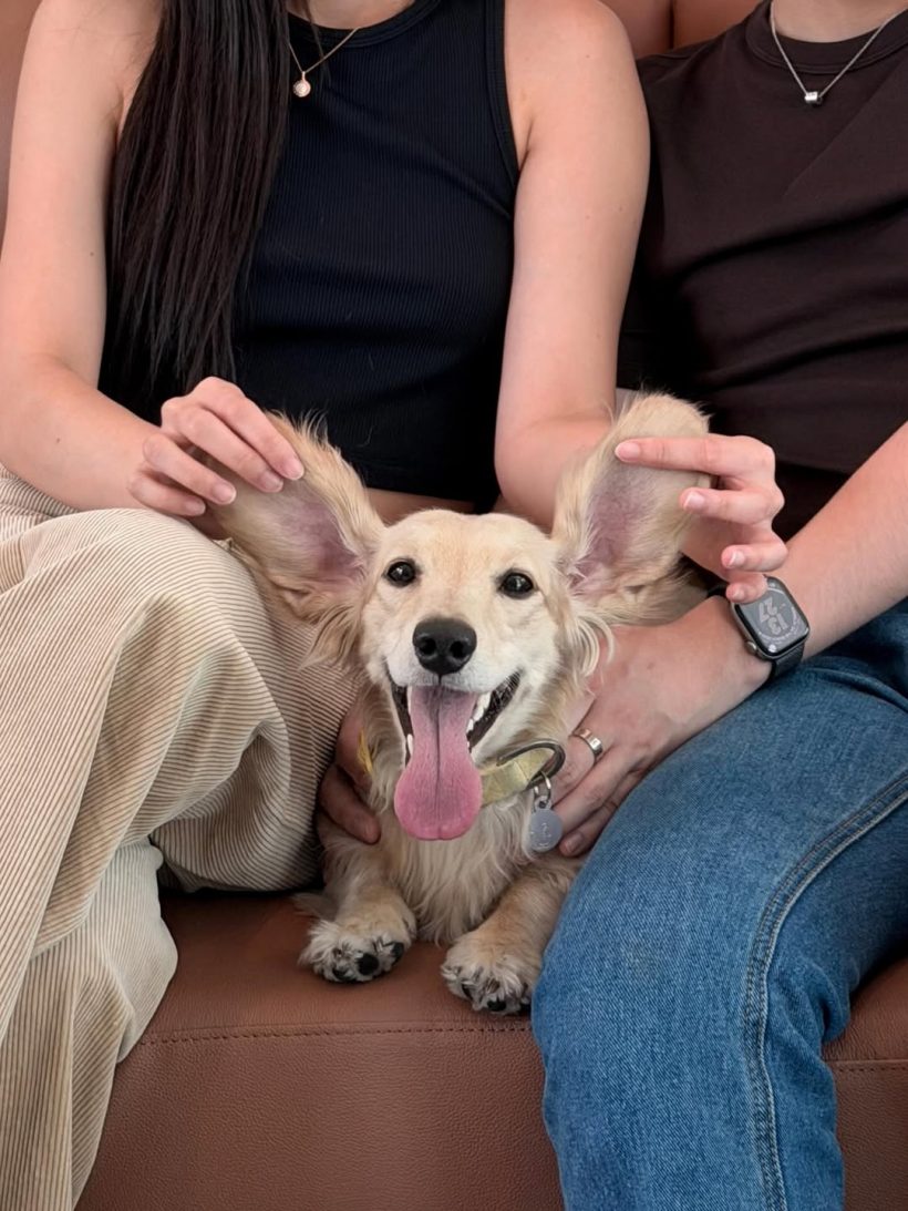 คู่รักคู่นี้ ซื้อบ้านแล้ว ไม่ซีเรียสถ้าคนมองอยู่ก่อนแต่ง