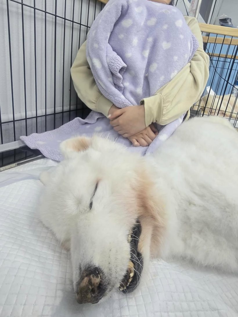 บุ๋ม ปนัดดา โพสต์แจ้งข่าวเศร้า..เบลล่า ให้กำลังใจทันที