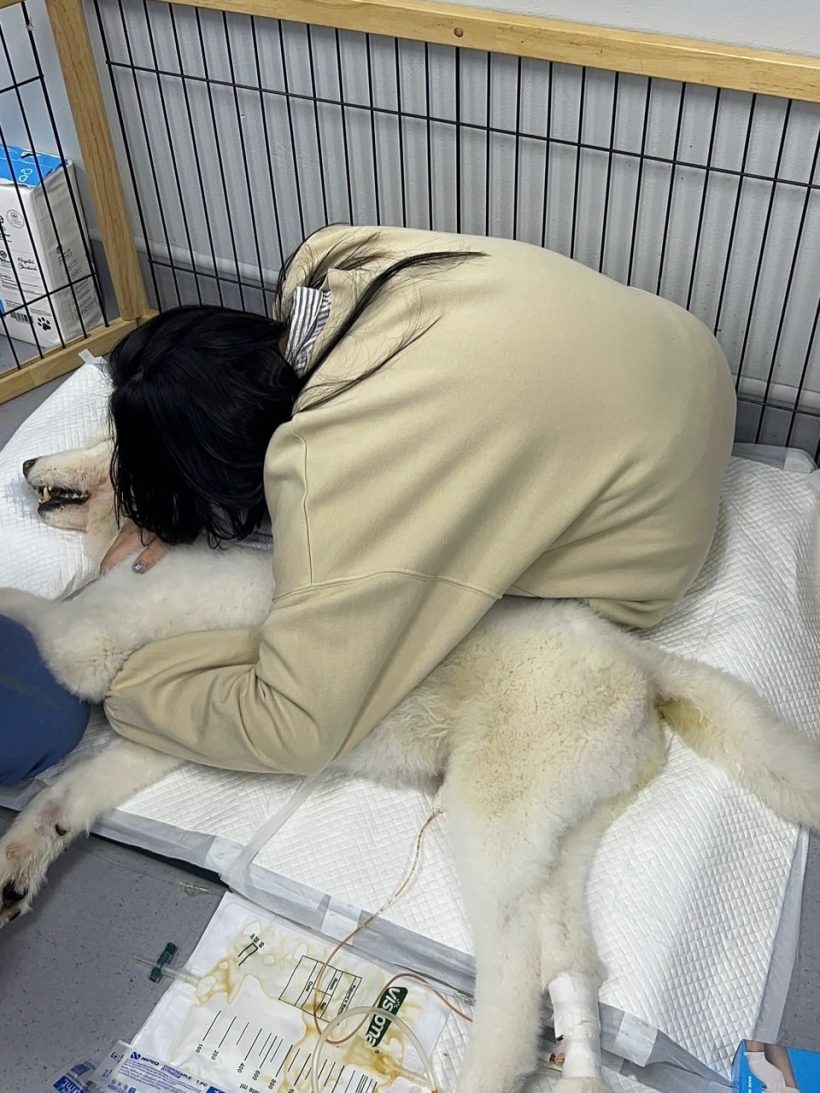 บุ๋ม ปนัดดา โพสต์แจ้งข่าวเศร้า..เบลล่า ให้กำลังใจทันที