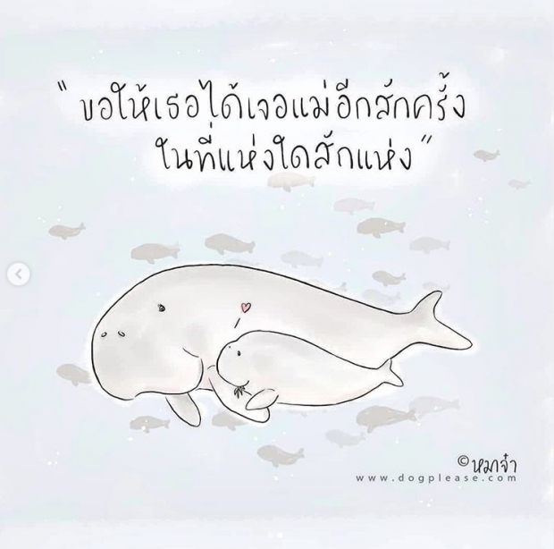 โตโน่ โพสต์อาลัย ยามีล ย้ำเตือนคนไทย อย่าท้อที่จะดูเเลรักษาสิ่งเเวดล้อม
