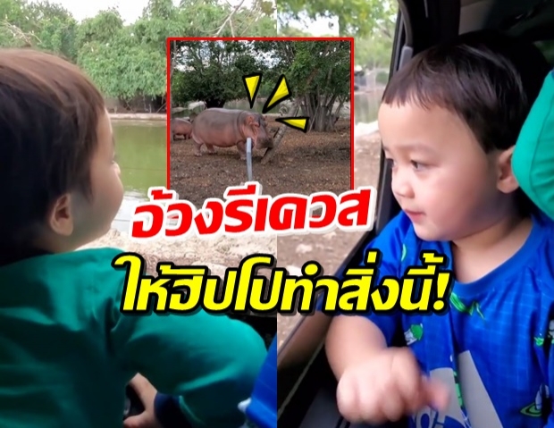 ‘น้องพายุ’ อยากให้ฮิปโปทำสิ่งนี้ - ‘น้องสายฟ้า’ บอกฮิปโปพูดได้! (คลิป)